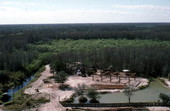 Aerial view of a portion of the Big Cypress Reservation - Big Cypress Reservation, Florida
