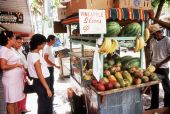 Street vendor selling fruit - Miami, Florida.