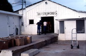 Moving blue crabs into the Gulf Stream Crab Co. - Steinhatchee, Florida.