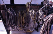 Pin rail with lines - Jacksonville, Florida