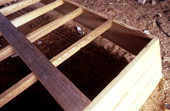 Keelson from oyster skiff being built by Bobby Shiver - Eastpoint, Florida