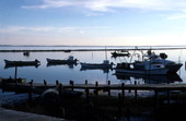 Fishing boats docked at Eastpoint harbor - Eastpoint, Florida