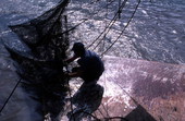 Dale Davis brings trawl net on the deck - Apalachicola Bay, Florida.