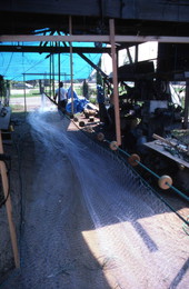 Sonny Polous working on a monofilament mullet net - Apalachicola, Florida
