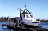 W. Shells' dry dock in operation - Apalachicola, Florida.
