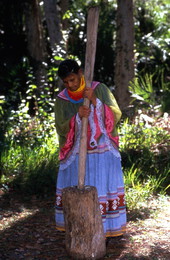 Lottie Shore pounding corn - Brighton Reservation, Florida