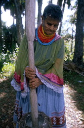 Lottie Shore grinding corn - Brighton Reservation, Florida