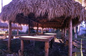 Traditional Seminole chickee - Brighton Reservation, Florida