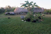 Family compound of Rosie and Alice Billie - Ochopee, Florida