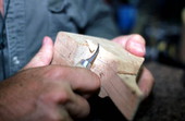 Mike Berg making a duck decoy - Jacksonville, Florida.