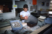 Lewis and Sons Fish Market worker William Christopher packing shrimp onto ice- New Berlin, Florida