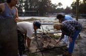 Checking to see if the lechon is done - Jacksonville, Florida