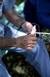 Max Dooley making a cast net - Lakeland, Florida