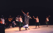 View showing participants performing in a hula dance competition - Orlando, Florida.