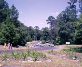 Cars parked and visitors heading to the Folk Festival- White Springs, Florida.