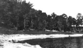 Lake Lafayette at the sink
