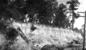 Cut of the A.C.L. railroad - Camp Perry, Florida