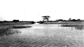 Lake Okeechobee entrance to Three Mile Canal