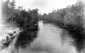 Chipola River - Florida