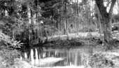 Ponce de Leon Springs - Ponce De Leon, Holmes County