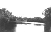 Withlacoochee River near the mouth