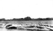 Exposure of freshwater limestone at Fort Thompson