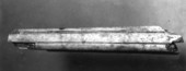 Part of the snout of a cetaceous resembling species of Rhabdosteus