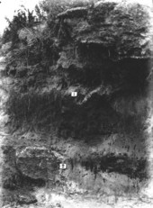 Locality in south bank of canal where first human remains were found