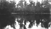 Suwannee River from Fort Fanning Ferry, south side looking upstream