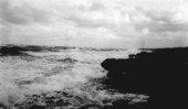 Coquina rock near Blowing Rocks - Jupiter, Florida.