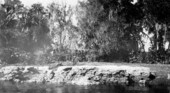 Coquina in county pit - near Flagler Beach, Florida