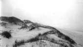 Outermost dune ridge - Amelia Island, Florida