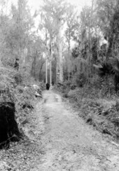 The Senator in Seminole County - Longwood, Florida