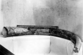 Tusk, probably of elephant, from Wakulla Springs