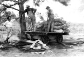 Florahome pulverized peat in bags loaded on tram cars
