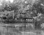 View of headpool showing platforms from which the underwater scenery can be seen.