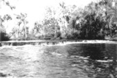Steinhatchee River near Perry