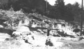 Indurated, cross-bedded coquina in abandoned ridge - near Flagler Beach, Florida