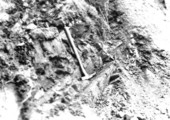 View of plant-bearing clay - near Lamberts Station at milepost 27 on the M&O railroad cut