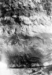 Stratigraphy of the Vero site