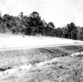 Tampa Limestone on the north side of U.S. Highway 90
