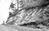 Miocene exposure on the east side of the Chattahoochee River