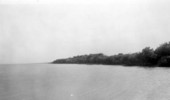 Mangrove shoreline behind the barrier coral reef - Tavernier, Florida.