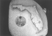 Coquina map made in relief by Janson