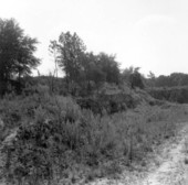 Panorama of an abandoned mine of the Ocala Group