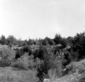 Panorama of an abandoned mine of the Ocala Group