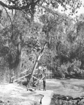 Ichetucknee Springs.