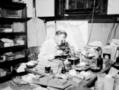 Researcher looking through microscope