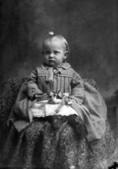 Perez Brokaw McDougall.