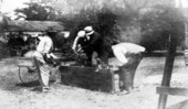 Chickens being plucked at Live Oak Plantation - Leon County, Florida